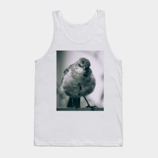 Grumpy Bird Photograph Tank Top